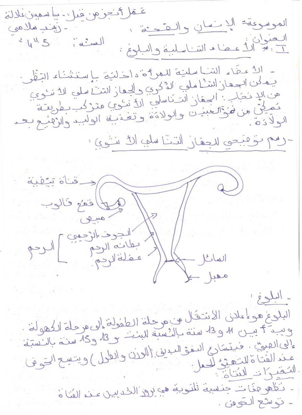 La 5e 4 découvre les nouvelles encyclopédies en langue arabe